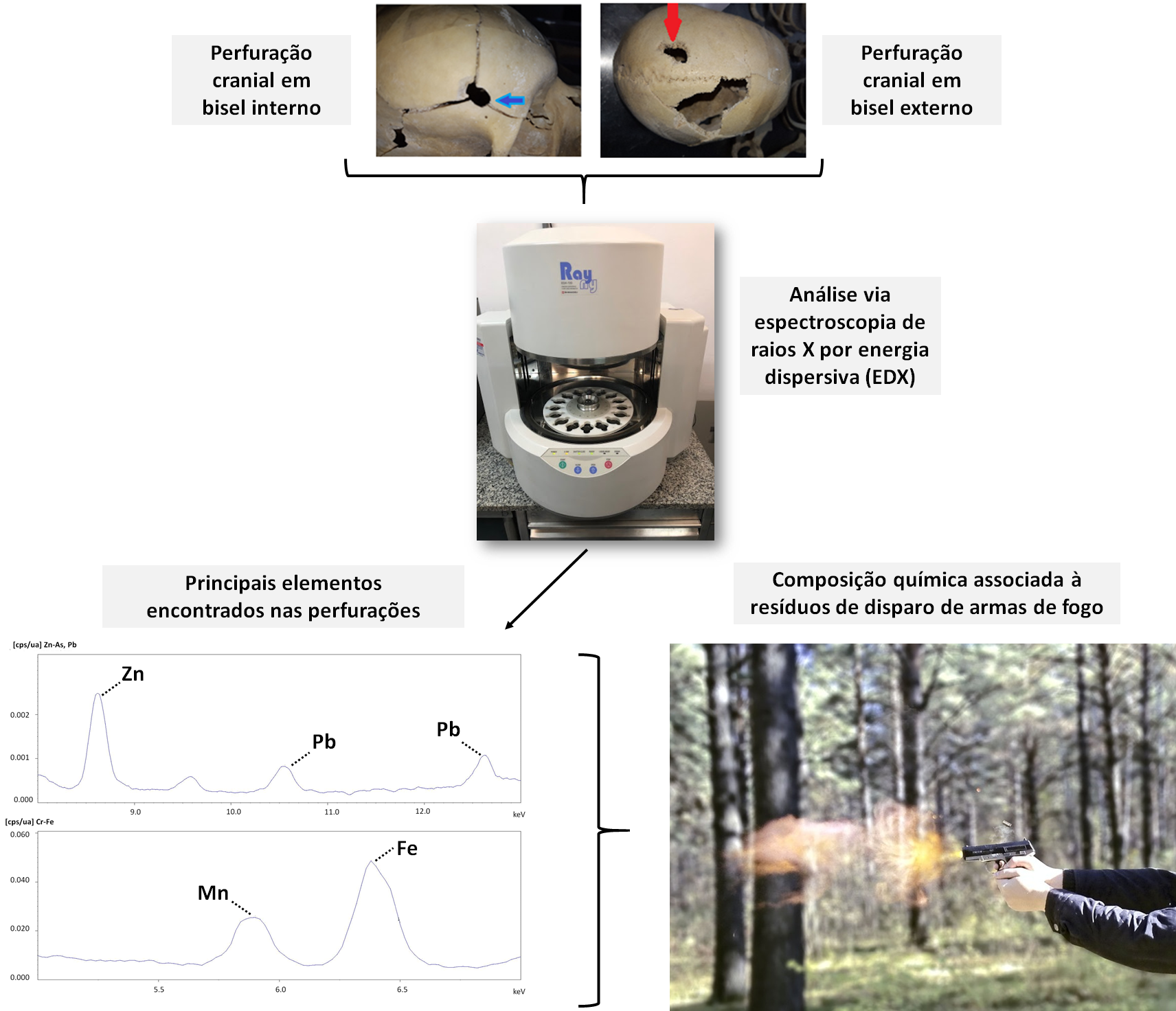 IDENTIFICAÇÃO E PROVENIÊNCIA DE FRAGMENTOS METÁLICOS ENCONTRADOS EM CRÂNIO HUMANO VIA ESPECTROSCOPIA DE RAIOS -X POR ENERGIA DISPERSIVA (EDX)