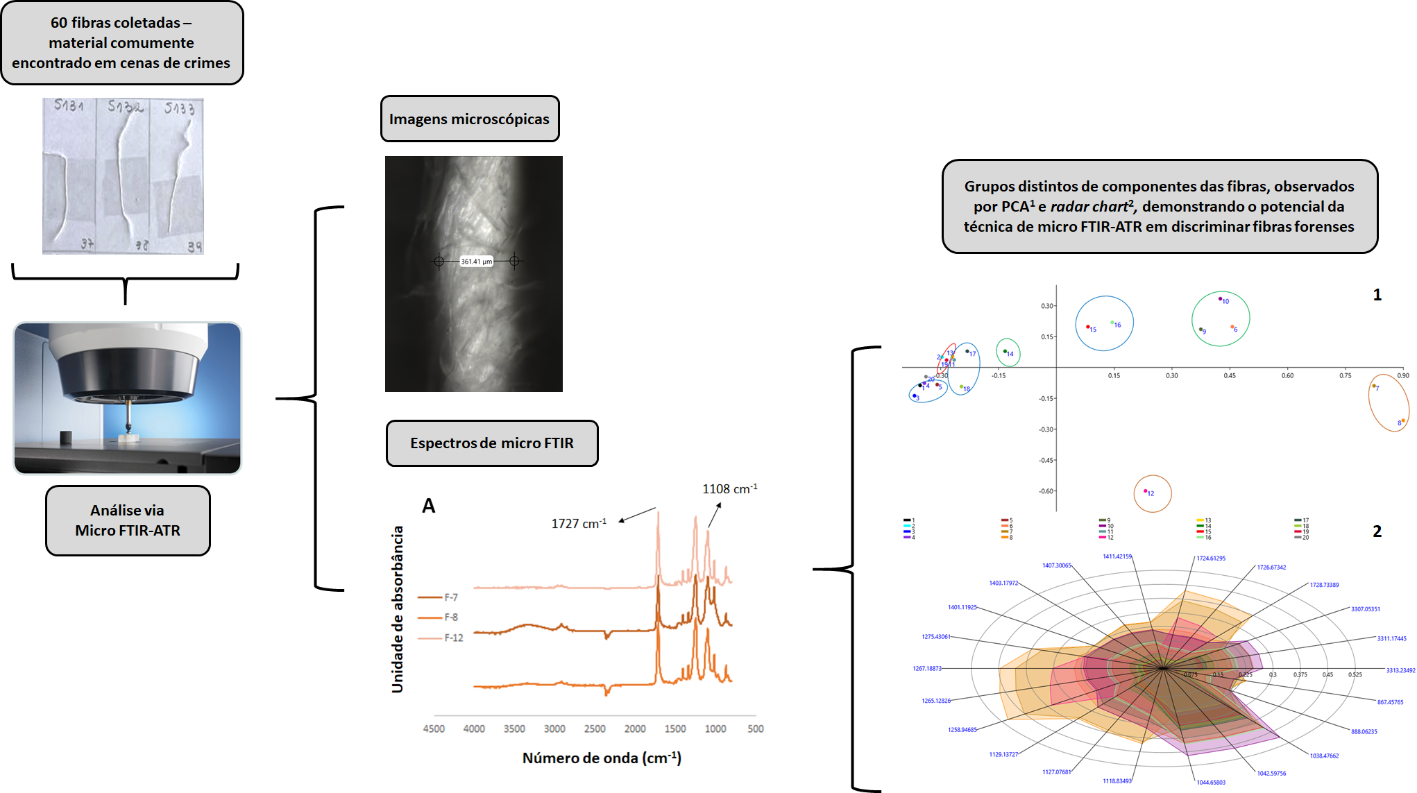 AVALIAÇÃO FORENSE DE FIBRAS VIA MICRO ESPECTROSCOPIA (FTIR-ATR)