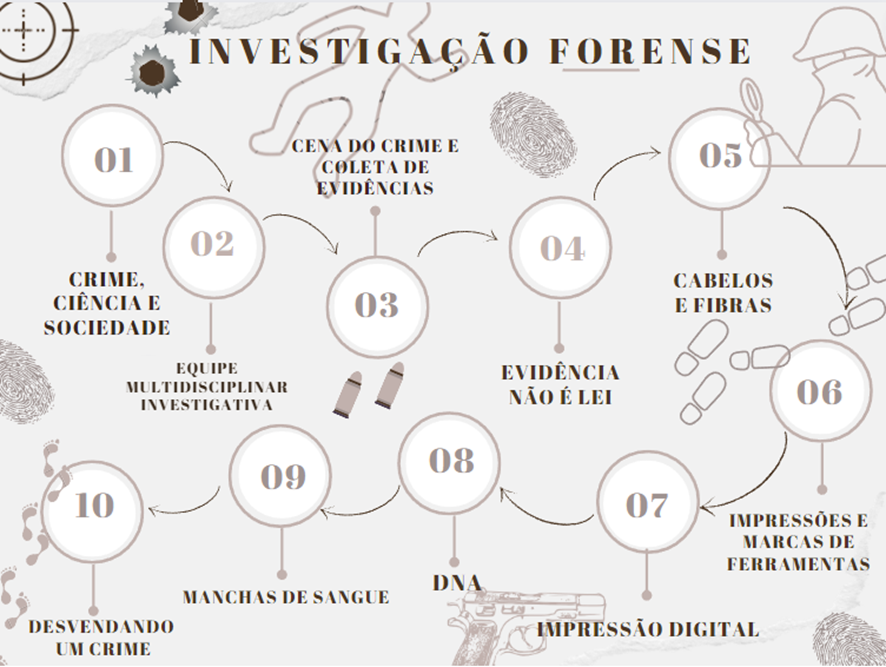 EM BUSCA DA EVIDÊNCIA: INVESTIGAÇÃO FORENSE COMO ABORDAGEM SIGNIFICATIVA PARA O NOVO ENSINO MÉDIO
