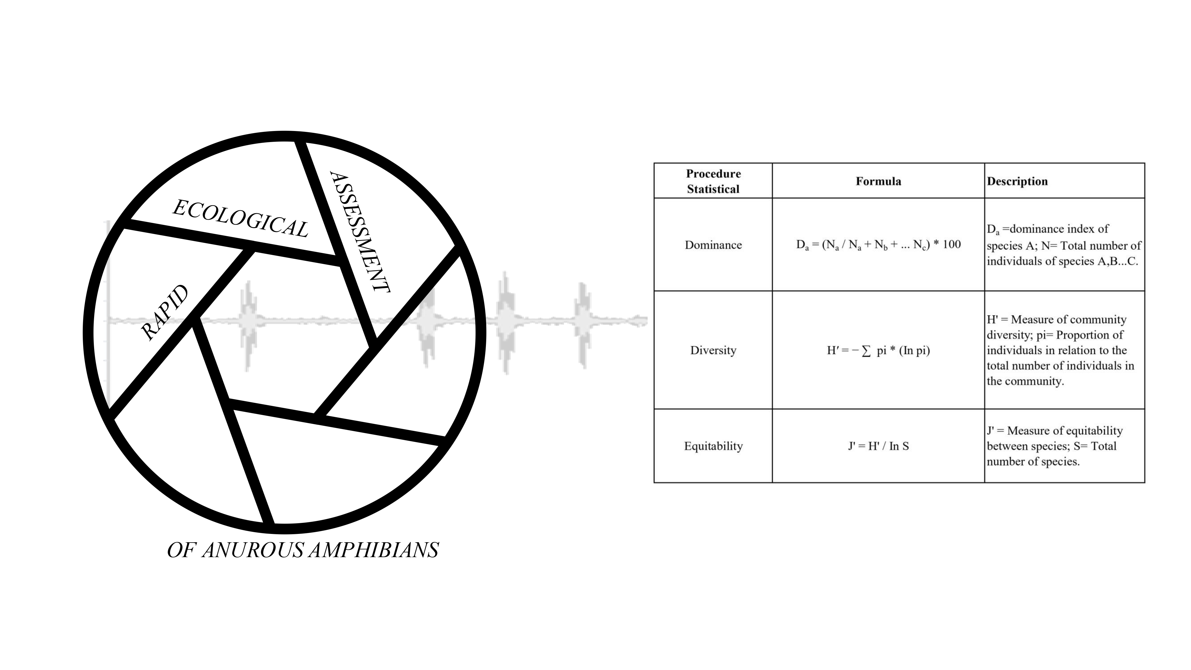 Anuran biodiversity in the institution's areas using the Rapid Ecological Assessment method.